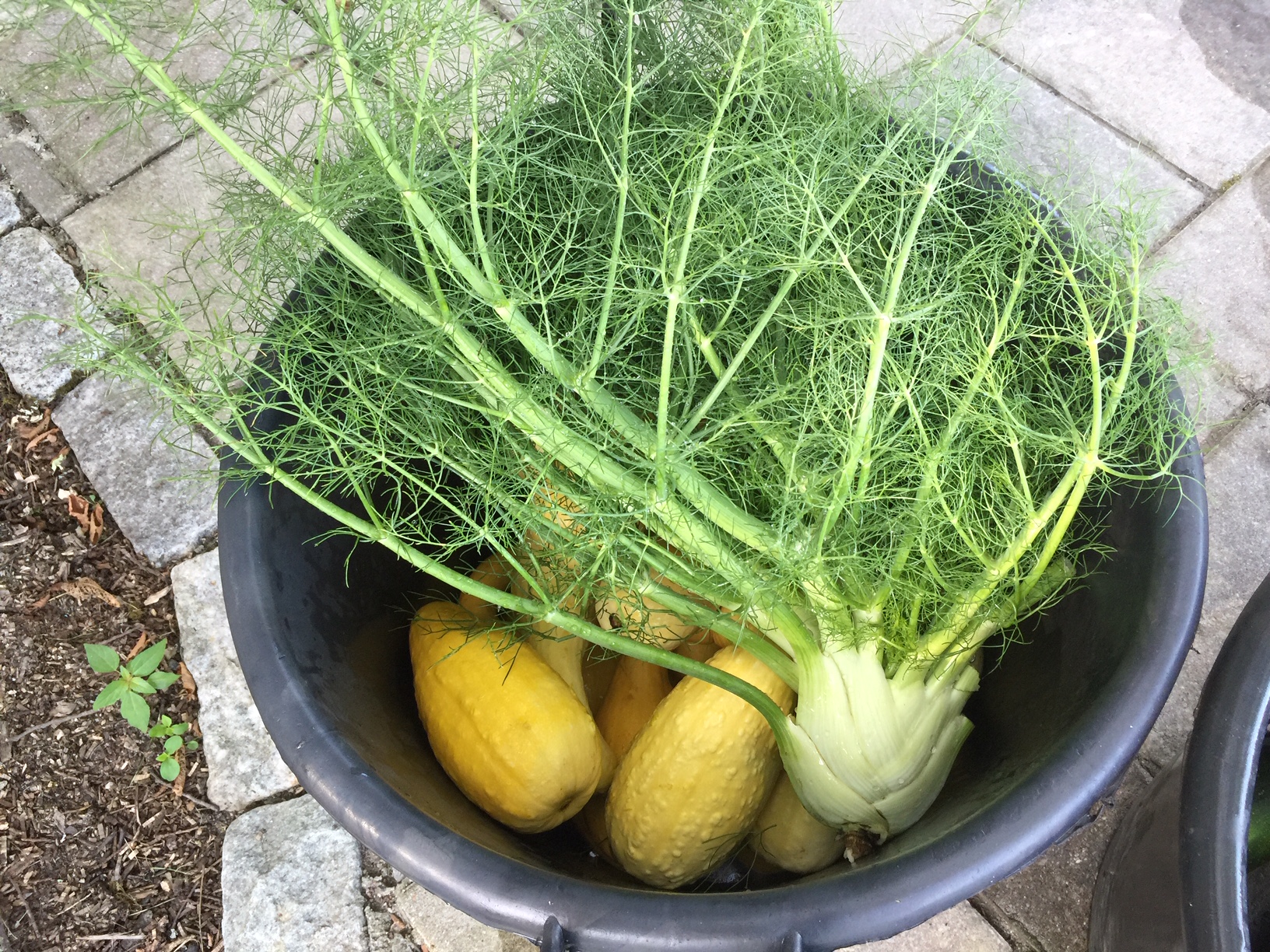 Read more about the article A Milestone Reached