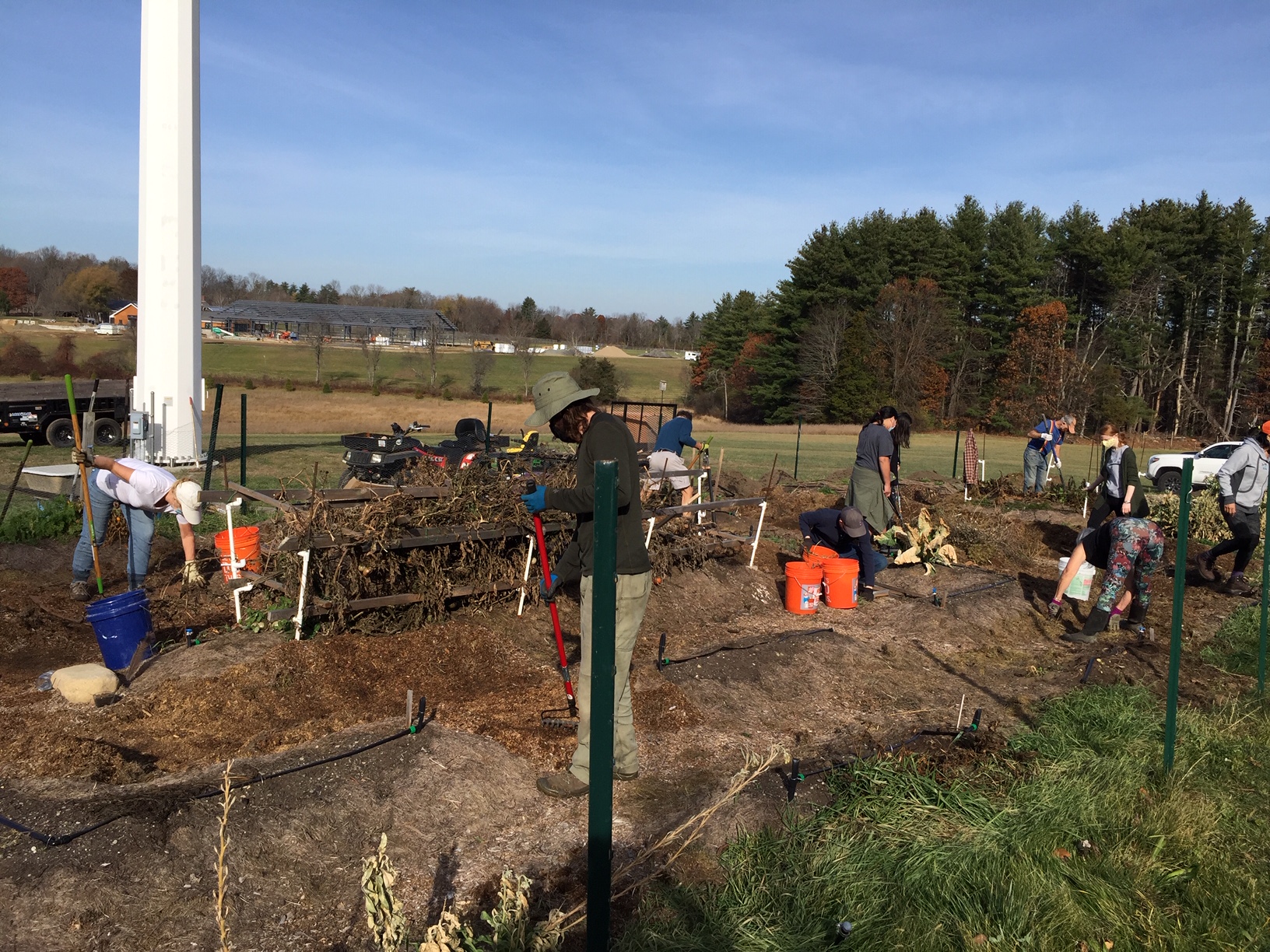 Read more about the article Working Together