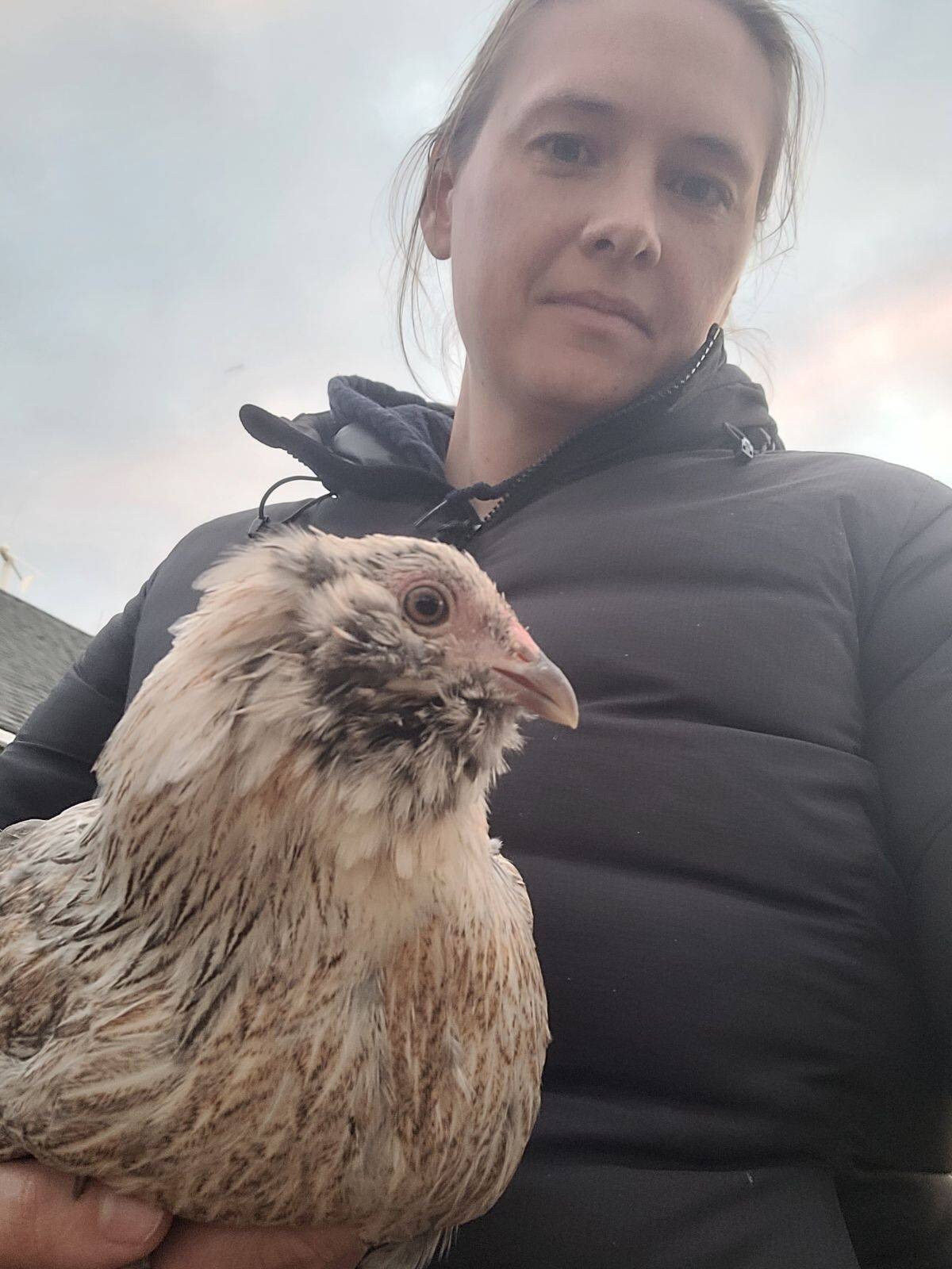 Read more about the article New Arrivals!