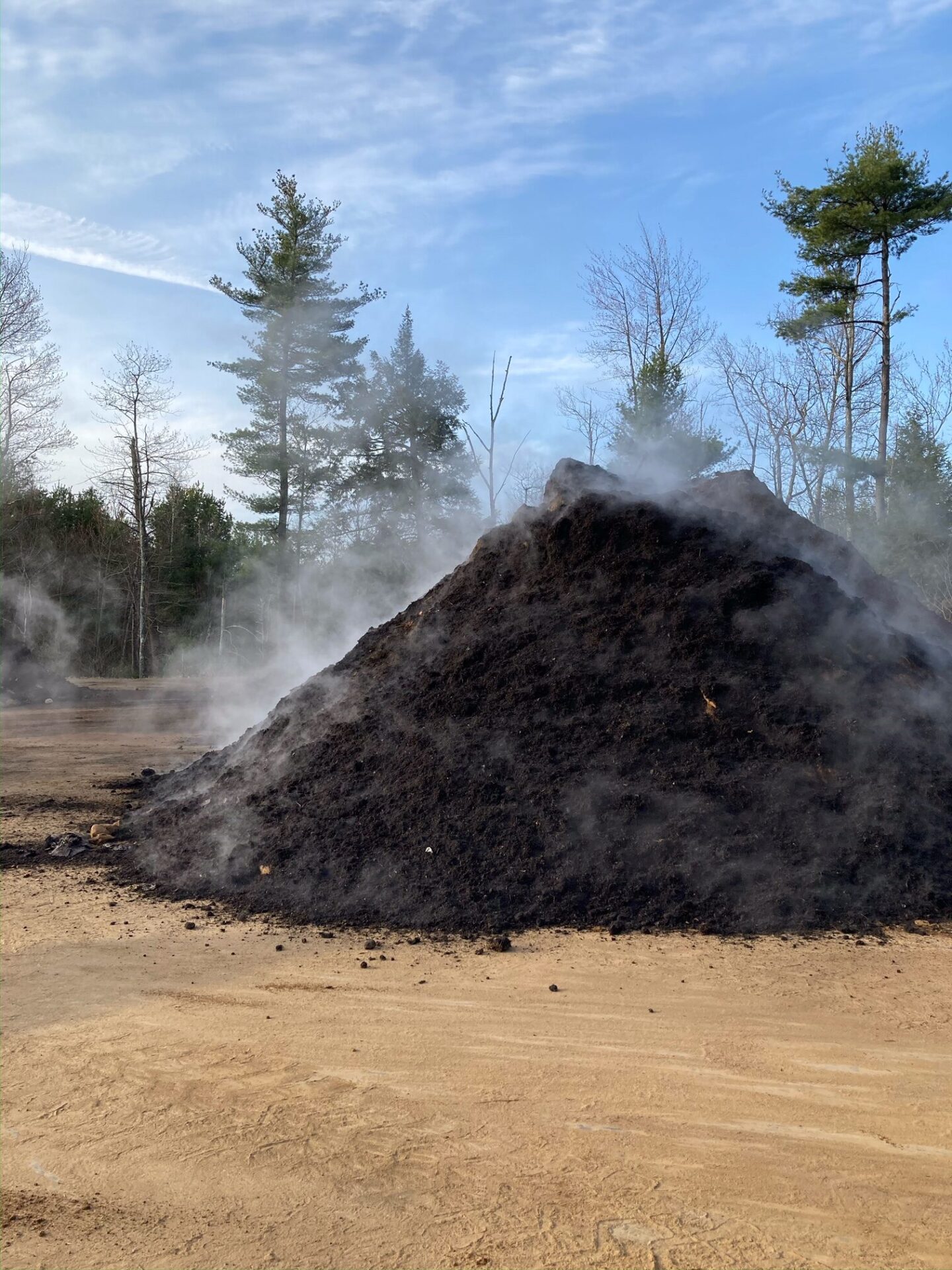 Read more about the article We Get by With a Lot of Help from Our Friends